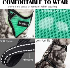 Kattentuigje Met Leiband Riem Kattenharnas Groen Maat M Kat & Kitten - Dieren Kattenriem - Cat Leash - Halsomvang 20 Tot 26cm - Borstomvang 30 Tot 34cm - Zootic® -Huisdierbenodigdheden Serie 1200x1164 4