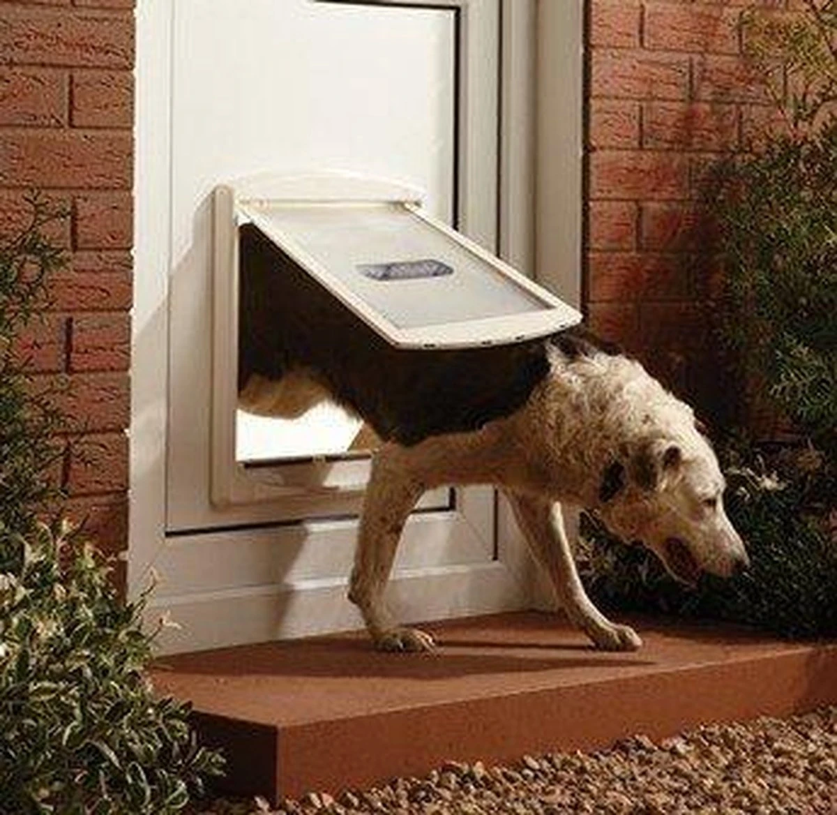 Staywell 777 Hondenluik - Large - Zilver/Tranparant 8 Staywell 777 Hondenluik - Large - Zilver/Tranparant - Afbeelding 8