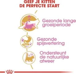 Royal Canin Maine Coon Kitten - Kattenvoer - 4 Kg -Huisdierbenodigdheden Serie 1200x1168 5