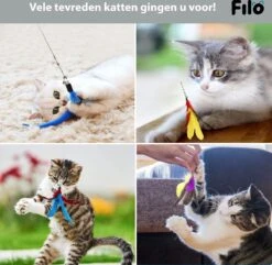 Filo Kattenhengel Set + 12 Kattenspeeltjes – Speelhengels Interactief Kattenspeelgoed – Hengel Kattenspeeltje Kittens - Speelgoed Speelhengel Vis Kat En Kitten 13 Filo Kattenhengel Set + 12 Kattenspeeltjes – Speelhengels Interactief Kattenspeelgoed – Hengel Kattenspeeltje Kittens - Speelgoed Speelhengel Vis Kat En Kitten -Huisdierbenodigdheden Serie 1200x1170 2
