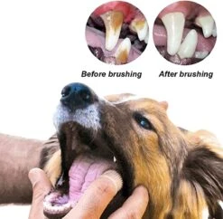 Doodadeals® 4 Stuks Siliconen Honden Tandenborstel - Tanden Borstel Hond - Silicone Dog Tootbrush - Multikleur -Huisdierbenodigdheden Serie 1200x1175 2