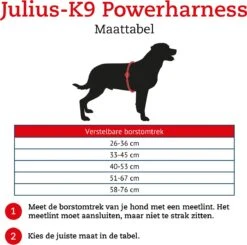 Julius K9 K9®Powertuig, S - Mini, Zwart 21 Julius K9 K9®Powertuig, S - Mini, Zwart -Huisdierbenodigdheden Serie 1200x1189 3