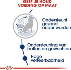 Royal Canin Maxi Ageing 8+ 15 KG -Huisdierbenodigdheden Serie 1200x1192