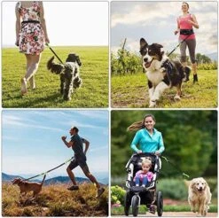 Canicross Looplijn Hond Met Heupriem Voor Hardlopen - Elastische Handsfree Hondenriem - Honden Trainingslijn - 150/200cm - Groen 19 Canicross Looplijn Hond Met Heupriem Voor Hardlopen - Elastische Handsfree Hondenriem - Honden Trainingslijn - 150/200cm - Groen -Huisdierbenodigdheden Serie 1200x1195 1