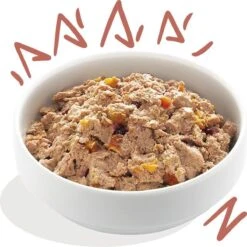 11x Edgard & Cooper Kuipje Vers Vlees Senior Hondenvoer Kip - Zalm 150 Gr 14 11x Edgard & Cooper Kuipje Vers Vlees Senior Hondenvoer Kip - Zalm 150 Gr -Huisdierbenodigdheden Serie 1200x1198 2