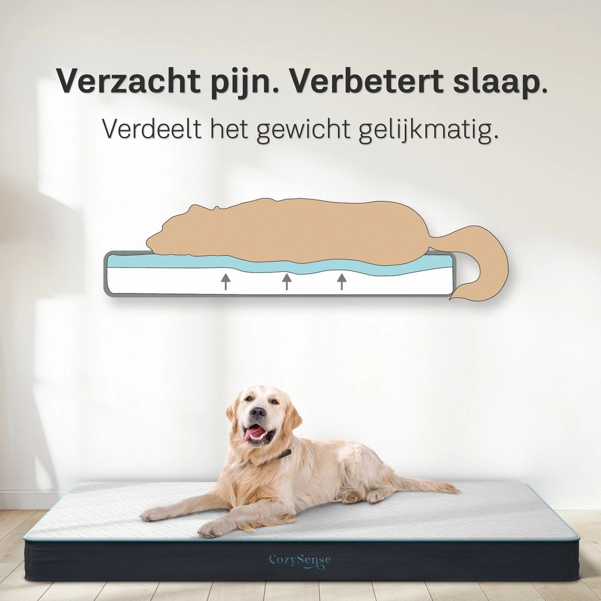CozySense® - Orthopedisch Hondenkussen - Hondenkussen 75 X 45 Cm - Ook Geschikt Als Benchkussen & Hondenbed - Hondenkussen Bank - Traagschuim - Waterdicht - Wasbare Hoes - Maat M 3 CozySense® - Orthopedisch Hondenkussen - Hondenkussen 75 X 45 Cm - Ook Geschikt Als Benchkussen & Hondenbed - Hondenkussen Bank - Traagschuim - Waterdicht - Wasbare Hoes - Maat M - Afbeelding 3