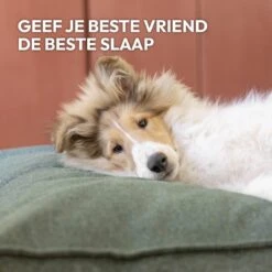 Snoozle Orthopedische Hondenmand - Zacht En Luxe Hondenkussen - Hondenbed - Wasbaar - Hondenmanden - 100 X 70 Cm - Stormy Grey -Huisdierbenodigdheden Serie 1200x1200 117