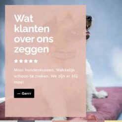 Rexproduct Hondenkussen - Hondenmand - Hondenbed Met Rits En Wasbaar - Manden & Kussens 90 X 110 CM - 0 Tot 80 Kg - SoftPet Groen 20 Rexproduct Hondenkussen - Hondenmand - Hondenbed Met Rits En Wasbaar - Manden & Kussens 90 X 110 CM - 0 Tot 80 Kg - SoftPet Groen -Huisdierbenodigdheden Serie 1200x1200 144