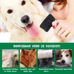 Mister Mill Professionele Set Slicker Honden Kattenborstel Plus Nagelknipper Plus Ondervacht Kam 29 Mister Mill Professionele Set Slicker Honden Kattenborstel Plus Nagelknipper Plus Ondervacht Kam -Huisdierbenodigdheden Serie 1200x1200 15
