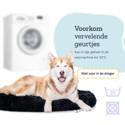 All 4 Pets Supply® Hondenmand Donut - Maat XL - Geschikt Voor Honden Tot 100 Cm - Hondenkussen - Zwart 14 All 4 Pets Supply® Hondenmand Donut - Maat XL - Geschikt Voor Honden Tot 100 Cm - Hondenkussen - Zwart -Huisdierbenodigdheden Serie 1200x1200 160