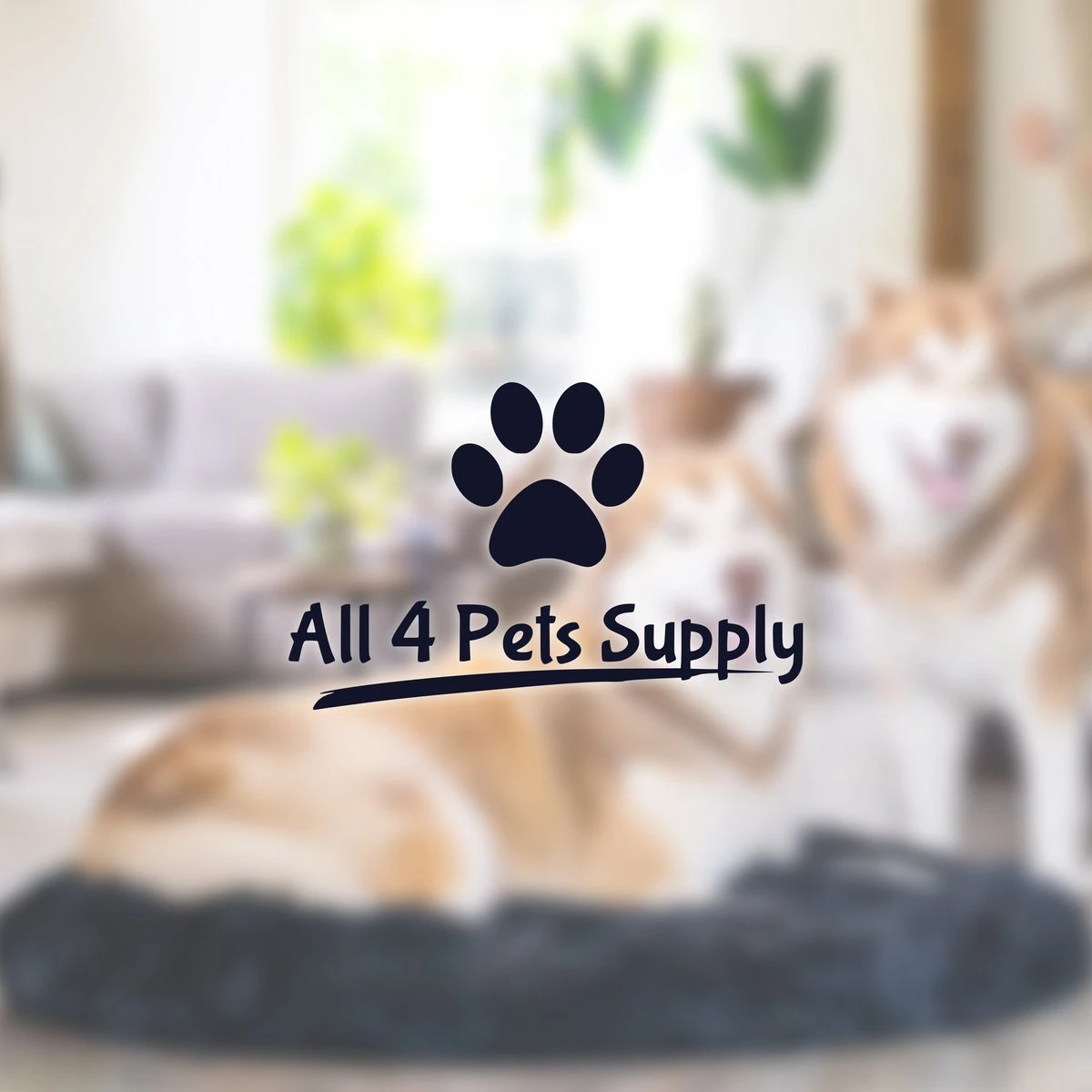 All 4 Pets Supply® Hondenmand Donut - Maat XL - Geschikt Voor Honden Tot 100 Cm - Hondenkussen - Zwart 10 All 4 Pets Supply® Hondenmand Donut - Maat XL - Geschikt Voor Honden Tot 100 Cm - Hondenkussen - Zwart - Afbeelding 10
