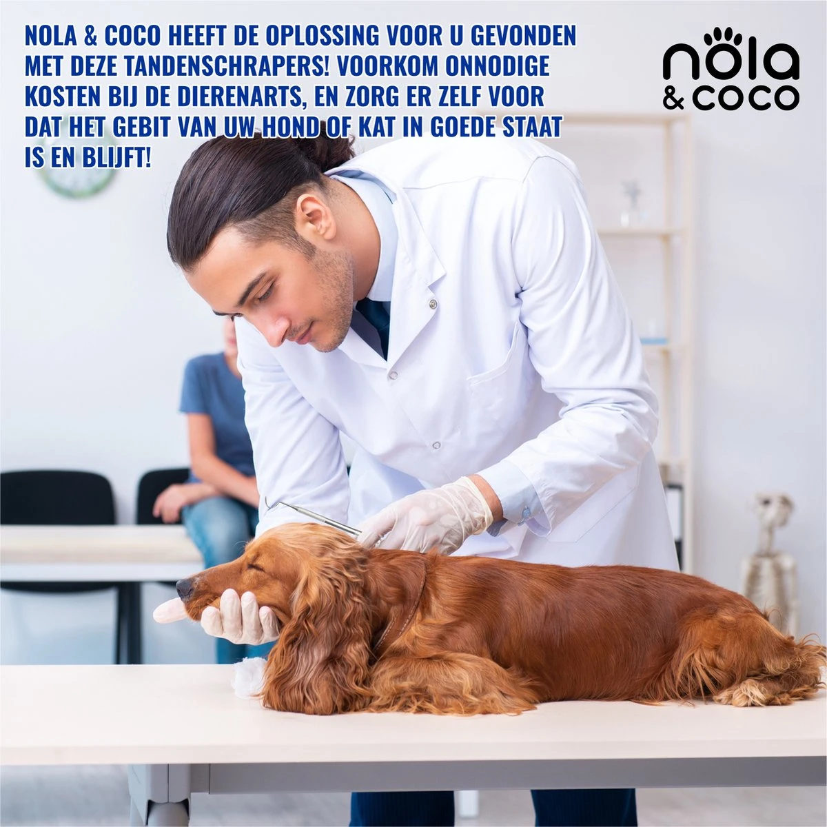Nola & Coco® Tandsteen Verwijderaar Set Inclusief Bewaardoosje - Tandenkrabber - Set Van Twee - Hond - Kat - Tandenborstel - Tandplak Verwijderen - Tandenstoker - Honden Tanden Schoonmaken - Tandenhaakje - Gebitsreiniging 3 Nola & Coco® Tandsteen Verwijderaar Set Inclusief Bewaardoosje - Tandenkrabber - Set Van Twee - Hond - Kat - Tandenborstel - Tandplak Verwijderen - Tandenstoker - Honden Tanden Schoonmaken - Tandenhaakje - Gebitsreiniging - Afbeelding 3
