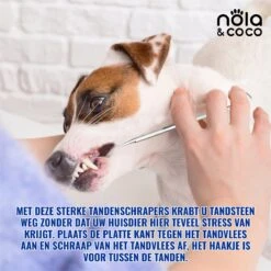 Nola & Coco® Tandsteen Verwijderaar Set Inclusief Bewaardoosje - Tandenkrabber - Set Van Twee - Hond - Kat - Tandenborstel - Tandplak Verwijderen - Tandenstoker - Honden Tanden Schoonmaken - Tandenhaakje - Gebitsreiniging 12 Nola & Coco® Tandsteen Verwijderaar Set Inclusief Bewaardoosje - Tandenkrabber - Set Van Twee - Hond - Kat - Tandenborstel - Tandplak Verwijderen - Tandenstoker - Honden Tanden Schoonmaken - Tandenhaakje - Gebitsreiniging -Huisdierbenodigdheden Serie 1200x1200 172