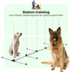 AYOO Agility Voor De Hond - Honden Training - Honden Behendigheid Set - Hondenparcours - Training Huisdieren - Honden Agility Set - Slalom - Horde - Draagzak - Agility Set - Oranje - Wit - GRATIS Speeltouw 13 AYOO Agility Voor De Hond - Honden Training - Honden Behendigheid Set - Hondenparcours - Training Huisdieren - Honden Agility Set - Slalom - Horde - Draagzak - Agility Set - Oranje - Wit - GRATIS Speeltouw -Huisdierbenodigdheden Serie 1200x1200 186