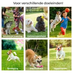 AYOO Agility Voor De Hond - Honden Training - Honden Behendigheid Set - Hondenparcours - Training Huisdieren - Honden Agility Set - Slalom - Horde - Draagzak - Agility Set - Oranje - Wit - GRATIS Speeltouw 14 AYOO Agility Voor De Hond - Honden Training - Honden Behendigheid Set - Hondenparcours - Training Huisdieren - Honden Agility Set - Slalom - Horde - Draagzak - Agility Set - Oranje - Wit - GRATIS Speeltouw -Huisdierbenodigdheden Serie 1200x1200 187
