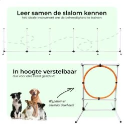 AYOO Agility Voor De Hond - Honden Training - Honden Behendigheid Set - Hondenparcours - Training Huisdieren - Honden Agility Set - Slalom - Horde - Draagzak - Agility Set - Oranje - Wit - GRATIS Speeltouw 15 AYOO Agility Voor De Hond - Honden Training - Honden Behendigheid Set - Hondenparcours - Training Huisdieren - Honden Agility Set - Slalom - Horde - Draagzak - Agility Set - Oranje - Wit - GRATIS Speeltouw -Huisdierbenodigdheden Serie 1200x1200 188