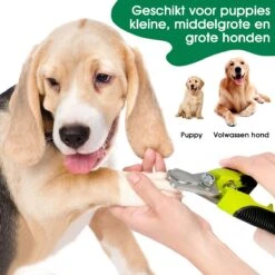 Mister Mill Professionele Set Slicker Honden Kattenborstel Plus Nagelknipper Plus Ondervacht Kam 36 Mister Mill Professionele Set Slicker Honden Kattenborstel Plus Nagelknipper Plus Ondervacht Kam -Huisdierbenodigdheden Serie 1200x1200 20