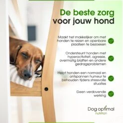 RUST EN KALMEREN CALMING Support 120 Stuks - Kalmeren - AntistressmiddelHond - Hond - Hondenkoekjes - Hondensupplementen - Honden - Puppy - Hondenvoeding 11 RUST EN KALMEREN CALMING Support 120 Stuks - Kalmeren - AntistressmiddelHond - Hond - Hondenkoekjes - Hondensupplementen - Honden - Puppy - Hondenvoeding -Huisdierbenodigdheden Serie 1200x1200 200