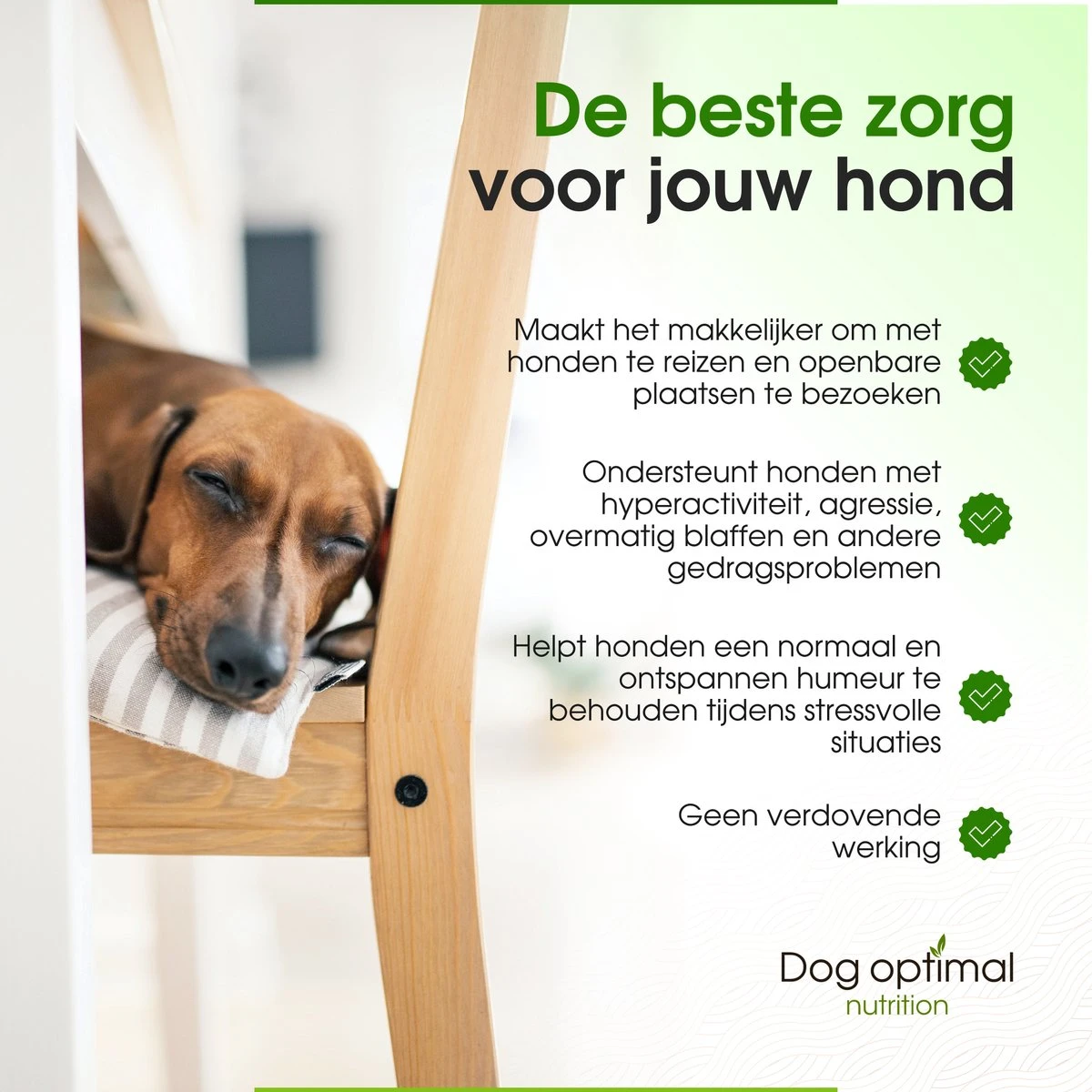 RUST EN KALMEREN CALMING Support 120 Stuks - Kalmeren - AntistressmiddelHond - Hond - Hondenkoekjes - Hondensupplementen - Honden - Puppy - Hondenvoeding 4 RUST EN KALMEREN CALMING Support 120 Stuks - Kalmeren - AntistressmiddelHond - Hond - Hondenkoekjes - Hondensupplementen - Honden - Puppy - Hondenvoeding - Afbeelding 4