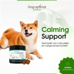 RUST EN KALMEREN CALMING Support 120 Stuks - Kalmeren - AntistressmiddelHond - Hond - Hondenkoekjes - Hondensupplementen - Honden - Puppy - Hondenvoeding 13 RUST EN KALMEREN CALMING Support 120 Stuks - Kalmeren - AntistressmiddelHond - Hond - Hondenkoekjes - Hondensupplementen - Honden - Puppy - Hondenvoeding -Huisdierbenodigdheden Serie 1200x1200 202
