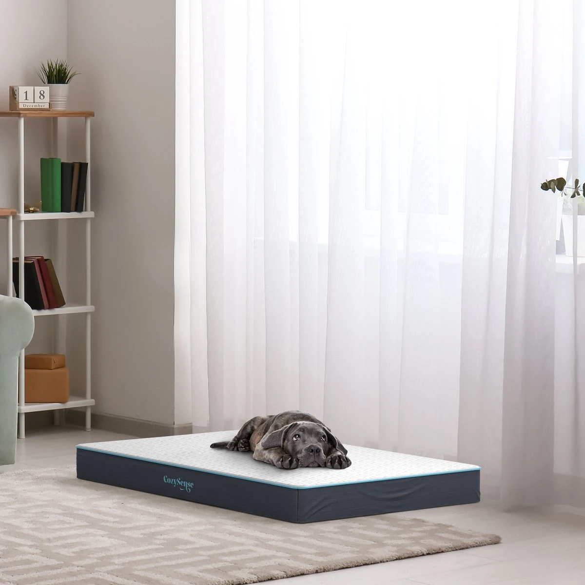 CozySense® - Orthopedisch Hondenkussen - Hondenkussen 100 X 70 Cm - Geschikt Als Benchkussen & Hondenbed - Hondenkussen Bank - Traagschuim - Waterdicht - Wasbare Hoes - Maat XL 6 CozySense® - Orthopedisch Hondenkussen - Hondenkussen 100 X 70 Cm - Geschikt Als Benchkussen & Hondenbed - Hondenkussen Bank - Traagschuim - Waterdicht - Wasbare Hoes - Maat XL - Afbeelding 6