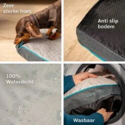 CozySense® - Orthopedisch Hondenkussen - Hondenkussen 100 X 70 Cm - Geschikt Als Benchkussen & Hondenbed - Hondenkussen Bank - Traagschuim - Waterdicht - Wasbare Hoes - Maat XL 14 CozySense® - Orthopedisch Hondenkussen - Hondenkussen 100 X 70 Cm - Geschikt Als Benchkussen & Hondenbed - Hondenkussen Bank - Traagschuim - Waterdicht - Wasbare Hoes - Maat XL -Huisdierbenodigdheden Serie 1200x1200 210