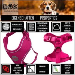 DDOXX Hondenharnas, Reflecterend, Verstelbaar, Breakaway | Borstharnas Voor Klein, Middelgroot | Hondenharnas Hond Kat Puppy Auto | Kattenharnas Puppy Harnas | Roze Roze, S 14 DDOXX Hondenharnas, Reflecterend, Verstelbaar, Breakaway | Borstharnas Voor Klein, Middelgroot | Hondenharnas Hond Kat Puppy Auto | Kattenharnas Puppy Harnas | Roze Roze, S -Huisdierbenodigdheden Serie 1200x1200 213