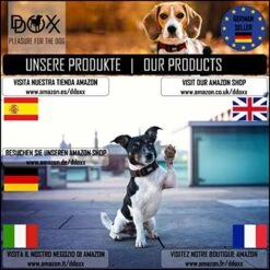 DDOXX Hondenharnas, Reflecterend, Verstelbaar, Breakaway | Borstharnas Voor Klein, Middelgroot | Hondenharnas Hond Kat Puppy Auto | Kattenharnas Puppy Harnas | Roze Roze, S 20 DDOXX Hondenharnas, Reflecterend, Verstelbaar, Breakaway | Borstharnas Voor Klein, Middelgroot | Hondenharnas Hond Kat Puppy Auto | Kattenharnas Puppy Harnas | Roze Roze, S -Huisdierbenodigdheden Serie 1200x1200 216