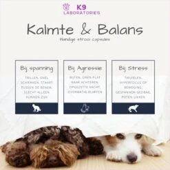 K9 Laboratories Kalmte & Balans - Hond - 60 Stuks - Bij Stress, Angst En Agressie - Ashwagandha - L-tryptofaan - Passiebloem - Valeriaanwortel - Lavendel -Huisdierbenodigdheden Serie 1200x1200 237
