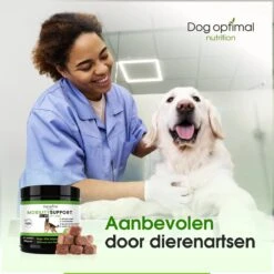 DOG OPTIMAL Gewricht Supplement 120 Stuks - Mobility - Glucosamine Hond - Artrose - Heupdysplasie - Gewrichten - Hondensnacks - Hondenkoekjes - Hondensupplementen - Honden - Puppy - Hondenvoeding -Huisdierbenodigdheden Serie 1200x1200 241