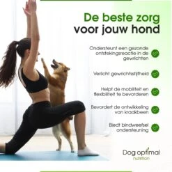 DOG OPTIMAL Gewricht Supplement 120 Stuks - Mobility - Glucosamine Hond - Artrose - Heupdysplasie - Gewrichten - Hondensnacks - Hondenkoekjes - Hondensupplementen - Honden - Puppy - Hondenvoeding -Huisdierbenodigdheden Serie 1200x1200 243