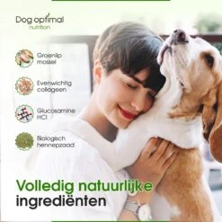 DOG OPTIMAL Gewricht Supplement 120 Stuks - Mobility - Glucosamine Hond - Artrose - Heupdysplasie - Gewrichten - Hondensnacks - Hondenkoekjes - Hondensupplementen - Honden - Puppy - Hondenvoeding -Huisdierbenodigdheden Serie 1200x1200 245