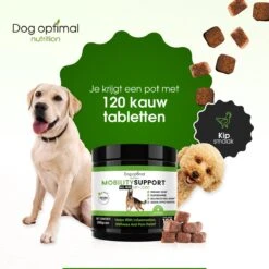 DOG OPTIMAL Gewricht Supplement 120 Stuks - Mobility - Glucosamine Hond - Artrose - Heupdysplasie - Gewrichten - Hondensnacks - Hondenkoekjes - Hondensupplementen - Honden - Puppy - Hondenvoeding -Huisdierbenodigdheden Serie 1200x1200 246