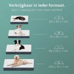 Nieuwe Producten -Huisdierbenodigdheden Serie 1200x1200 248