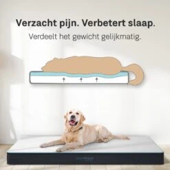 CozySense® - Orthopedisch Hondenkussen - Hondenkussen 90 X 55 Cm - Ook Geschikt Als Benchkussen & Hondenbed - Hondenkussen Bank - Traagschuim - Waterdicht - Wasbare Hoes - Maat L 10 CozySense® - Orthopedisch Hondenkussen - Hondenkussen 90 X 55 Cm - Ook Geschikt Als Benchkussen & Hondenbed - Hondenkussen Bank - Traagschuim - Waterdicht - Wasbare Hoes - Maat L -Huisdierbenodigdheden Serie 1200x1200 249