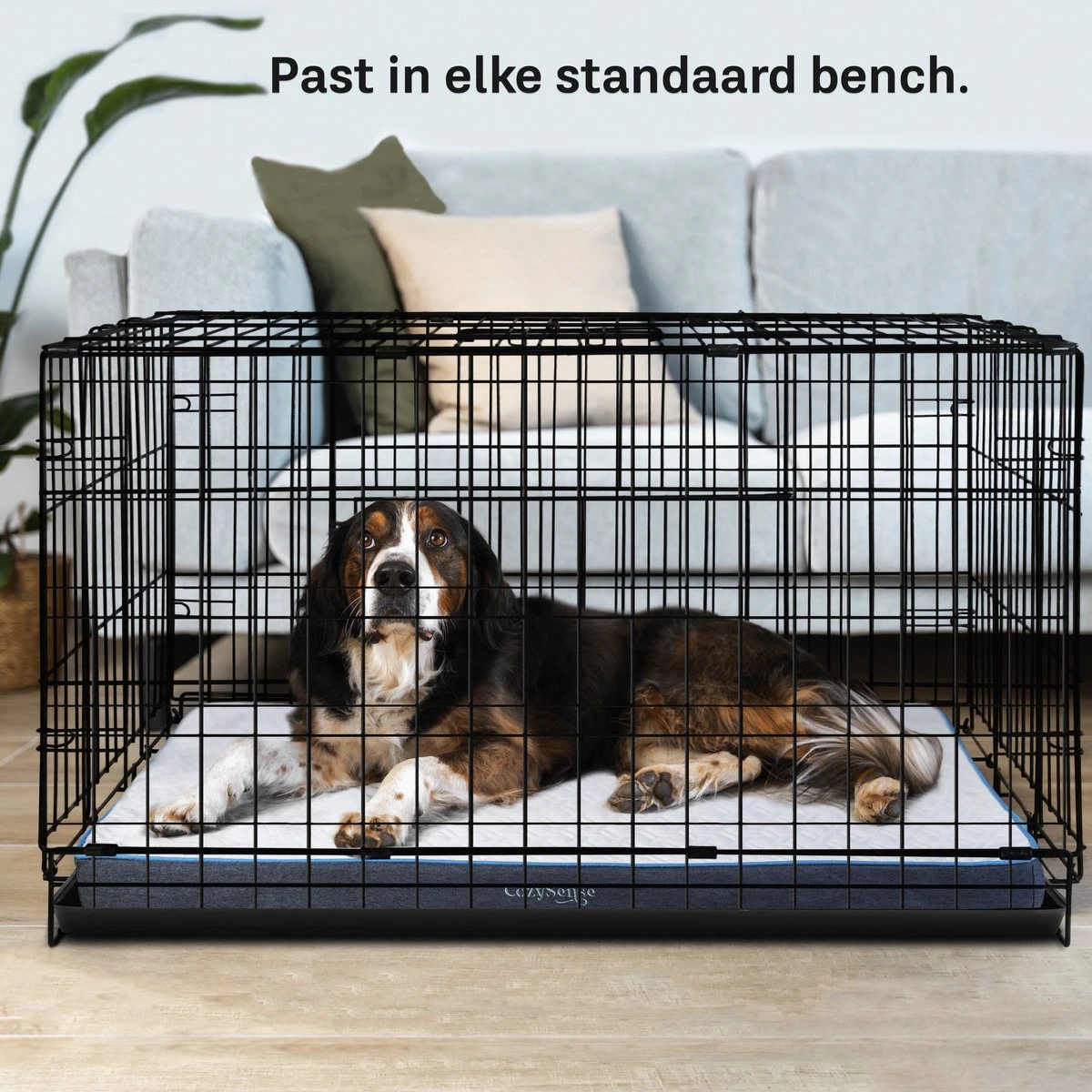 CozySense® - Orthopedisch Hondenkussen - Hondenkussen 90 X 55 Cm - Ook Geschikt Als Benchkussen & Hondenbed - Hondenkussen Bank - Traagschuim - Waterdicht - Wasbare Hoes - Maat L 5 CozySense® - Orthopedisch Hondenkussen - Hondenkussen 90 X 55 Cm - Ook Geschikt Als Benchkussen & Hondenbed - Hondenkussen Bank - Traagschuim - Waterdicht - Wasbare Hoes - Maat L - Afbeelding 5