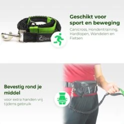 Canicross Looplijn Hond Met Heupriem Voor Hardlopen - Elastische Handsfree Hondenriem - Honden Trainingslijn - 150/200cm - Groen 16 Canicross Looplijn Hond Met Heupriem Voor Hardlopen - Elastische Handsfree Hondenriem - Honden Trainingslijn - 150/200cm - Groen -Huisdierbenodigdheden Serie 1200x1200 256