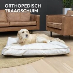 Snoozle Orthopedische Hondenmand - Zacht En Luxe Hondenkussen - Hondenbed - Wasbaar - Hondenmanden - 100 X 70 Cm - Groen 20 Snoozle Orthopedische Hondenmand - Zacht En Luxe Hondenkussen - Hondenbed - Wasbaar - Hondenmanden - 100 X 70 Cm - Groen -Huisdierbenodigdheden Serie 1200x1200 264