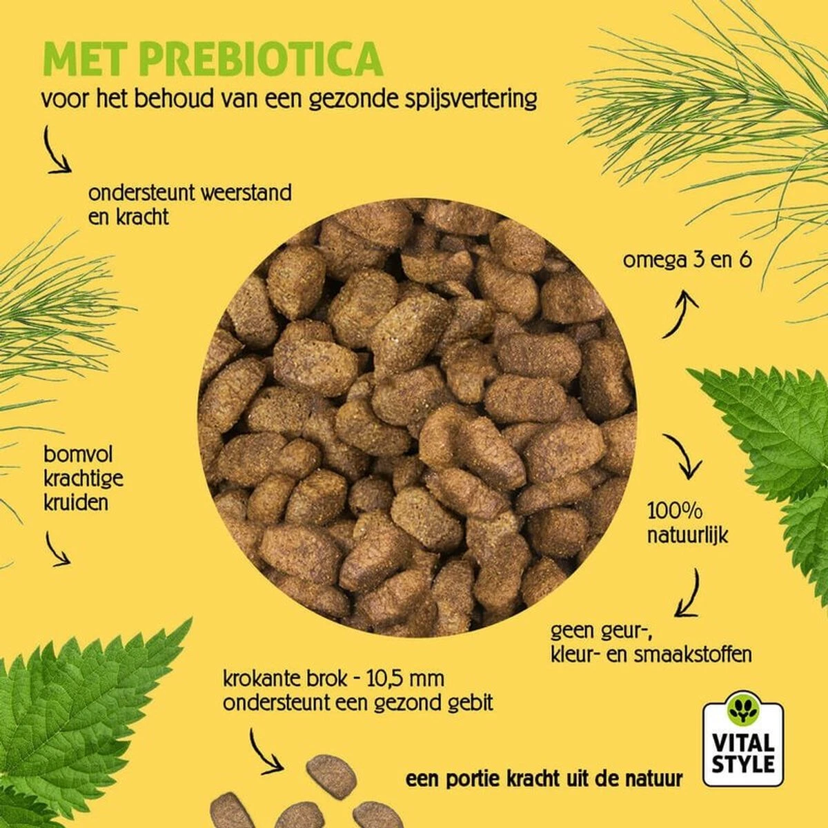 VITALstyle HUID+VACHT - Hondenbrokken - 12 Kg 5 VITALstyle HUID+VACHT - Hondenbrokken - 12 Kg - Afbeelding 5