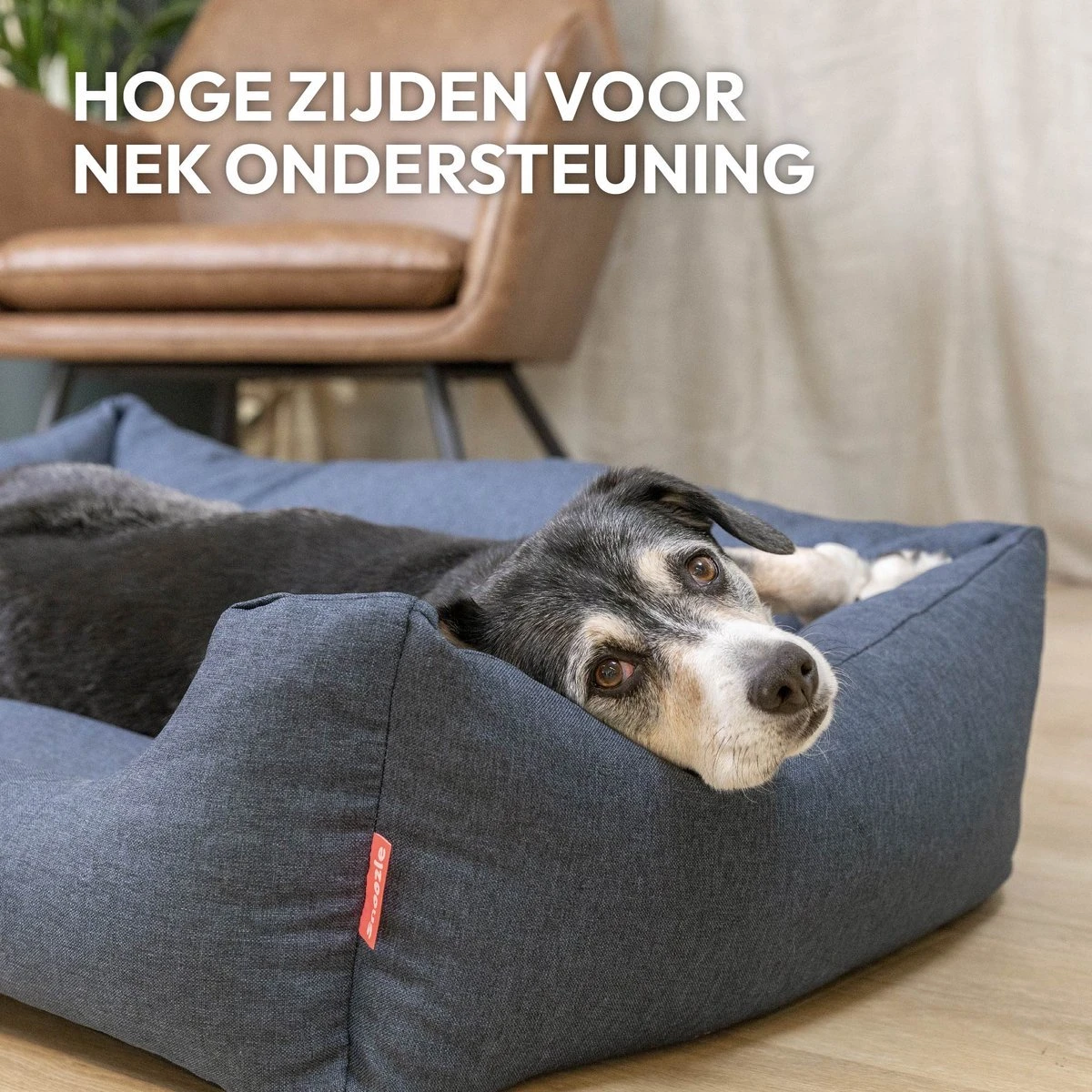 Snoozle Hondenmand - Zacht En Luxe Hondenkussen - Hondenbed - Wasbaar - Hondenmanden - 100 X 70cm 2 Snoozle Hondenmand - Zacht En Luxe Hondenkussen - Hondenbed - Wasbaar - Hondenmanden - 100 X 70cm - Afbeelding 2