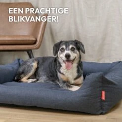 Snoozle Hondenmand - Zacht En Luxe Hondenkussen - Hondenbed - Wasbaar - Hondenmanden - 100 X 70cm 15 Snoozle Hondenmand - Zacht En Luxe Hondenkussen - Hondenbed - Wasbaar - Hondenmanden - 100 X 70cm -Huisdierbenodigdheden Serie 1200x1200 274
