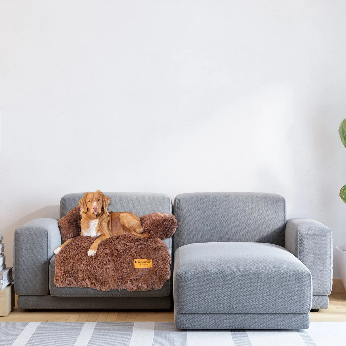 Origineel Hondendeken Voor Bank– Hondenkleed Fluffy – Pluche Hondenbed - Hondenmand Premium - Volledig Afritsbaar 3 Origineel Hondendeken Voor Bank– Hondenkleed Fluffy – Pluche Hondenbed - Hondenmand Premium - Volledig Afritsbaar - Afbeelding 3