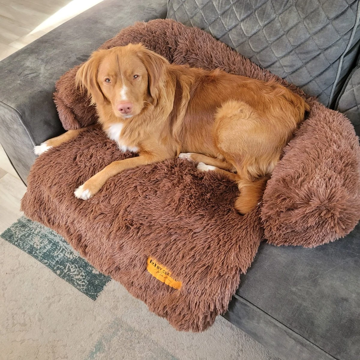 Origineel Hondendeken Voor Bank– Hondenkleed Fluffy – Pluche Hondenbed - Hondenmand Premium - Volledig Afritsbaar 8 Origineel Hondendeken Voor Bank– Hondenkleed Fluffy – Pluche Hondenbed - Hondenmand Premium - Volledig Afritsbaar - Afbeelding 8