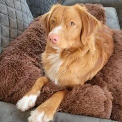 Origineel Hondendeken Voor Bank– Hondenkleed Fluffy – Pluche Hondenbed - Hondenmand Premium - Volledig Afritsbaar 17 Origineel Hondendeken Voor Bank– Hondenkleed Fluffy – Pluche Hondenbed - Hondenmand Premium - Volledig Afritsbaar -Huisdierbenodigdheden Serie 1200x1200 300