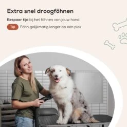 MiMOPETS® Hondenföhn Met 4 Opzetstukken – Waterblazer Voor Honden Met Geluiddemper -Hondendroger - Zwart 15 MiMOPETS® Hondenföhn Met 4 Opzetstukken – Waterblazer Voor Honden Met Geluiddemper -Hondendroger - Zwart -Huisdierbenodigdheden Serie 1200x1200 307