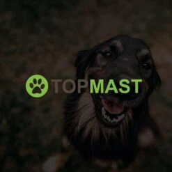 Merkloos Topmast Premium Puppyren - 120 Cm Hoog - 640 Cm Omtrek - Hondenren - Hondenhok - Zwart 9 Merkloos Topmast Premium Puppyren - 120 Cm Hoog - 640 Cm Omtrek - Hondenren - Hondenhok - Zwart -Huisdierbenodigdheden Serie 1200x1200 308