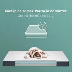 CozySense® - Orthopedisch Hondenkussen - Hondenkussen 60 X 40 Cm - Ook Geschikt Als Benchkussen & Hondenbed - Hondenkussen Bank - Traagschuim - Waterdicht - Wasbare Hoes - Maat S 11 CozySense® - Orthopedisch Hondenkussen - Hondenkussen 60 X 40 Cm - Ook Geschikt Als Benchkussen & Hondenbed - Hondenkussen Bank - Traagschuim - Waterdicht - Wasbare Hoes - Maat S -Huisdierbenodigdheden Serie 1200x1200 31