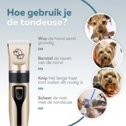 BYER Professionele Dieren Tondeuse Set - Voor Huisdieren Katten & Honden - Draadloos - Oplaadbare Pet Trimmer - Dog Tondeuze Clipper - 5 Standen & Vier Opzetkammen - Low Noise 15 BYER Professionele Dieren Tondeuse Set - Voor Huisdieren Katten & Honden - Draadloos - Oplaadbare Pet Trimmer - Dog Tondeuze Clipper - 5 Standen & Vier Opzetkammen - Low Noise -Huisdierbenodigdheden Serie 1200x1200 312