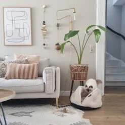 District 70 TUCK - Luxe & Comfortabele Mand Kleine Honden - Terra, Donkergrijs & Zand - 50x50x30 Cm - Zand 25 District 70 TUCK - Luxe & Comfortabele Mand Kleine Honden - Terra, Donkergrijs & Zand - 50x50x30 Cm - Zand -Huisdierbenodigdheden Serie 1200x1200 314