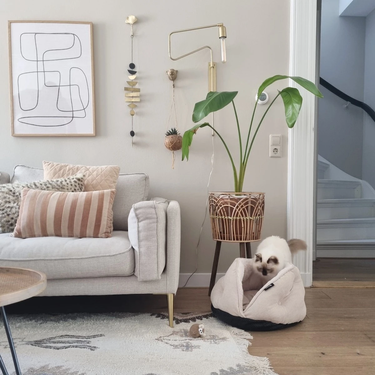 District 70 TUCK - Luxe & Comfortabele Mand Kleine Honden - Terra, Donkergrijs & Zand - 50x50x30 Cm - Zand 10 District 70 TUCK - Luxe & Comfortabele Mand Kleine Honden - Terra, Donkergrijs & Zand - 50x50x30 Cm - Zand - Afbeelding 10